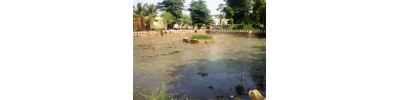 உத்தமபாளையம்